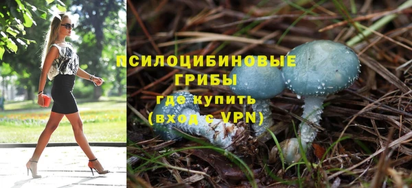 не бодяженный Алзамай