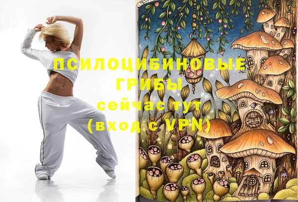 не бодяженный Алзамай