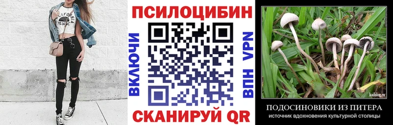 Галлюциногенные грибы Psilocybe  Артёмовский 